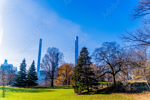 trees in central park with buildings in background new york