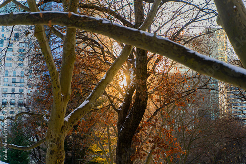 autumn in the park