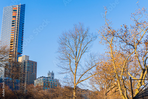 building in the park in New York City