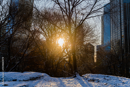 sunset in the park in New York City