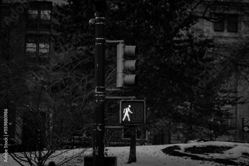 black and white photo of a traffic lights in New York City