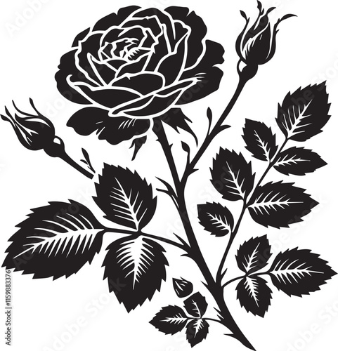 Black and white rose vector