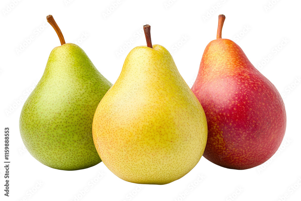 Three different colored pears are shown in a row Three different colored pears are shown in a row