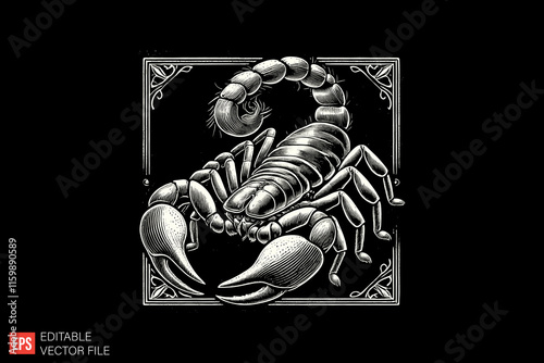 White Scorpion Illustration on Black Background in Vector Format