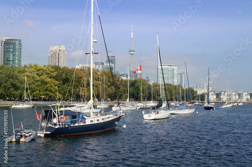 Yachts parked in Toronto waterfront marina in blue waters of lake Ontario with downtown Toronto skyline in background