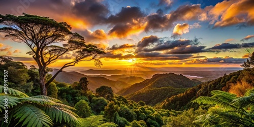 Stunning Silhouette Photography of Waitakere Ranges Regional Park, New Zealand - Scenic Views, Nature Trails, Dramatic Landscapes, and Sunset Horizons