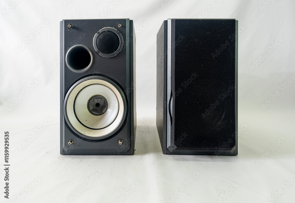 Fototapeta premium Professional Speaker with very good sound quality