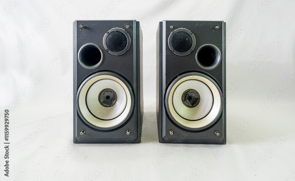 Fototapeta premium Professional Speaker with very good sound quality