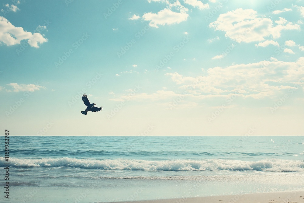 Fototapeta premium Bird flying over the sea with blue sky and white clouds.