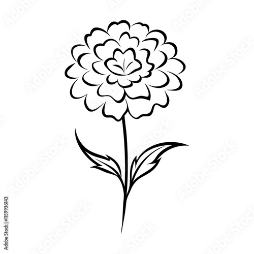 Black silhouette outline and lineart style marigold flower vector and icon design