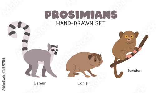 Prosimians cartoon clipart set. Lemur, loris, tarsier vector illustrations in flat style. Hand-drawn wild animals concept