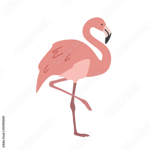 Flamingo cartoon clipart. Pink flamingo vector illustration in flat style. Hand-drawn wild animal concept
