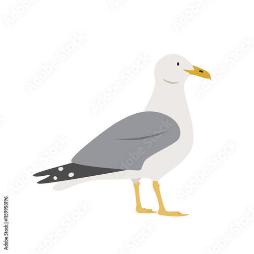 Seagull cartoon clipart. Seagull or common gull vector illustration in flat style. Hand-drawn wild animal concept