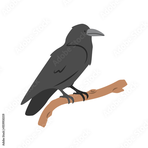 Common raven cartoon clipart. Black crow or raven vector illustration in flat style. Hand-drawn wild animal concept
