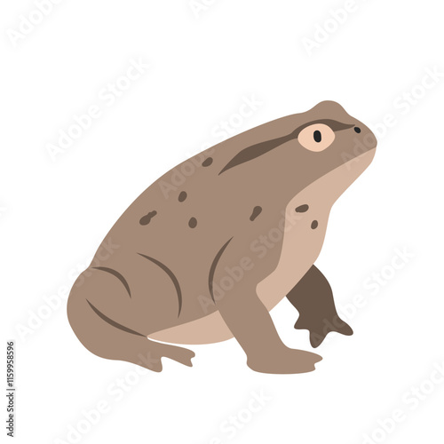 True toad cartoon clipart. Toad vector illustration in flat style. Hand-drawn wild animal concept