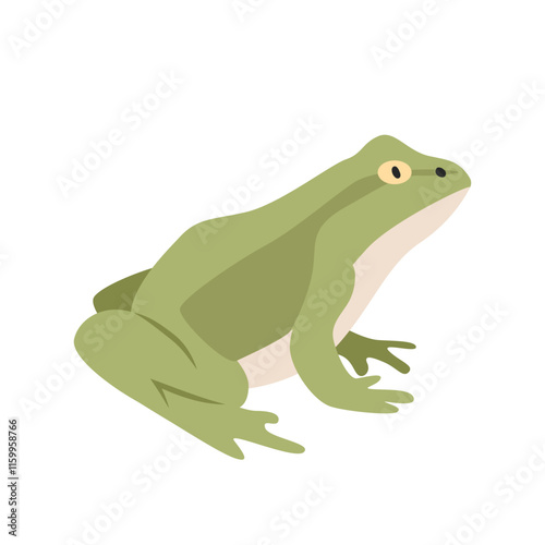 Green frog cartoon clipart. Frog vector illustration in flat style. Hand-drawn wild animal concept