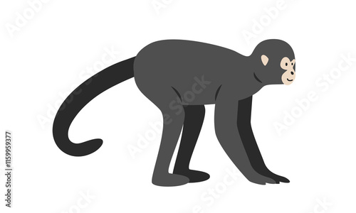 Spider monkey cartoon clipart. Spider monkey vector illustration in flat style. New World monkey. Hand-drawn wild animal concept