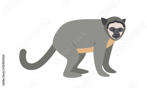 Colombian night monkey cartoon clipart. Owl monkey vector illustration in flat style. New World monkey. Hand-drawn wild animal concept