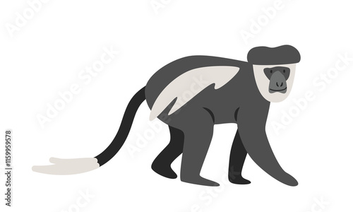 Black and white colobus monkey cartoon clipart. Colobus guereza or mantled guereza or vector illustration in flat style. Old World monkey. Hand-drawn wild animal concept