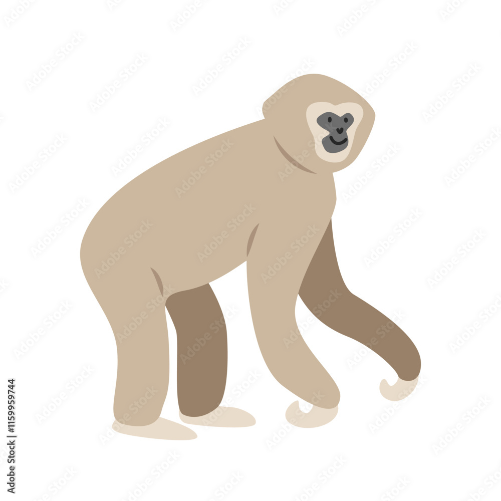 Obraz premium Lar gibbon cartoon clipart. Great ape white-handed gibbon vector illustration in flat style. Hand-drawn wild animal concept