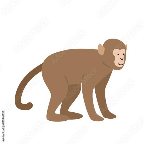 Cute Indochinese rhesus macaque monkey cartoon clipart. Monkey vector illustration in flat style. Old World monkey. Hand-drawn wild animal concept