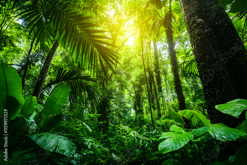 Lush green rainforest canopy bathed in sunlight, vibrant foliage, dense jungle, tropical trees, natural environment.