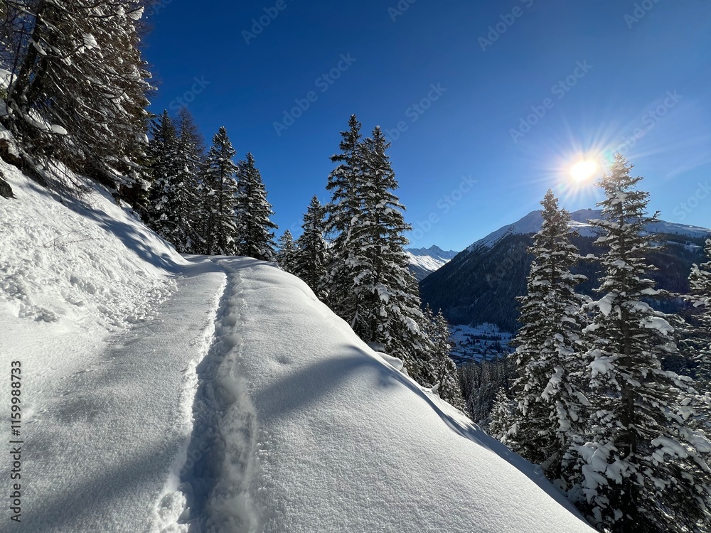 Fototapeta premium Wonderful winter hiking trails and traces in the fresh alpine snow cover of the Swiss Alps and over the tourist resort of Davos - Canton of Grisons, Switzerland (Kanton Graubünden, Schweiz)