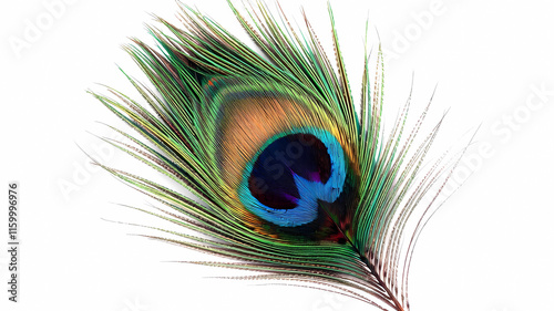 a close up of a peacock's tail feathers with a white background and a blue center piece in the center, Bholekar Srihari, generative art, highly detailed digital painting, an ultrafine detailed paintin photo