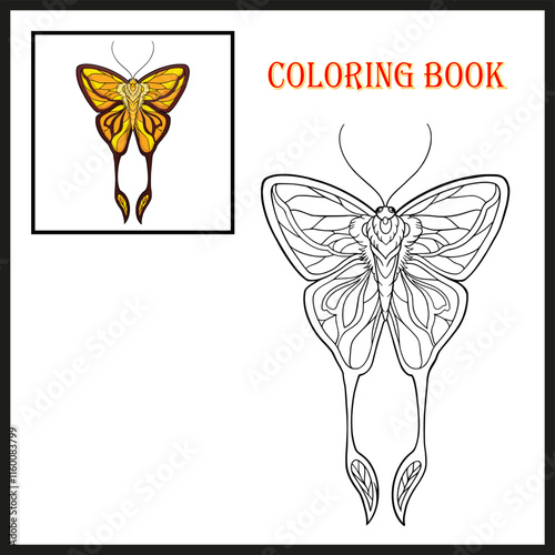 A butterfly with wide wings and a charming color for coloring book