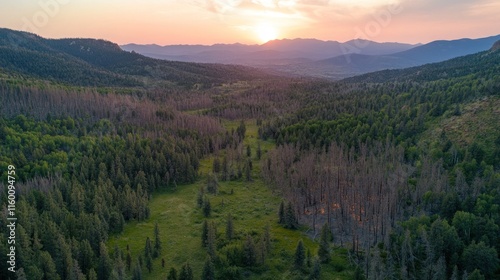Aerial view of a mountain valley at sunset, showing green forests and some dead trees.