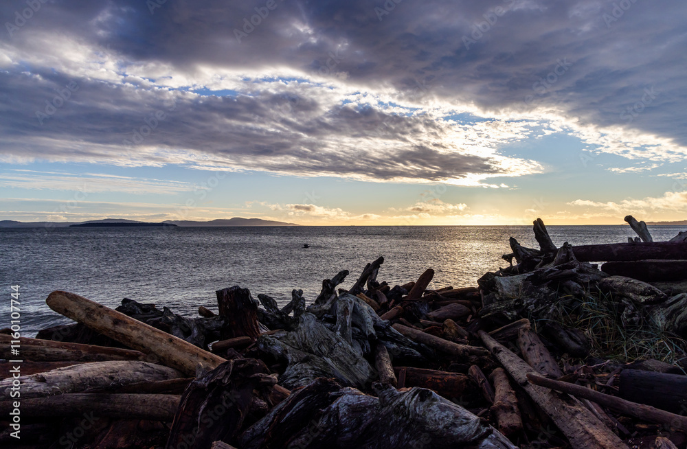 Scenic Ocean View with Driftwood and Clouds at Sunset Scenic Ocean View with Driftwood and Clouds at Sunset