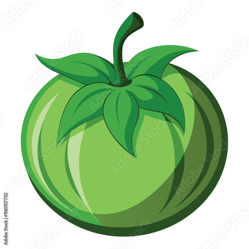 Tomatillo Vector Isolated on White Background Illustration with High Detail and Realistic Texture