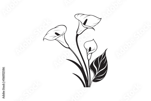 Calla lily silhouette vector illustration, Calla lily silhouette 