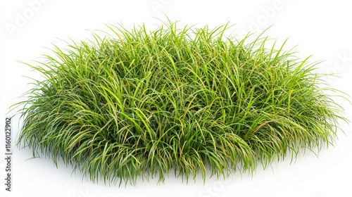 A lush patch of vibrant green grass, with long blades swaying gently as if in a light breeze. The grass should have a natural, healthy look, creating a fresh and inviting appearance.