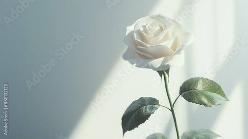 A single pristine white rose with velvety petals, standing tall on a slender green stem. The rose should be displayed at an angle to showcase its elegant shape and smooth texture, with a few green lea