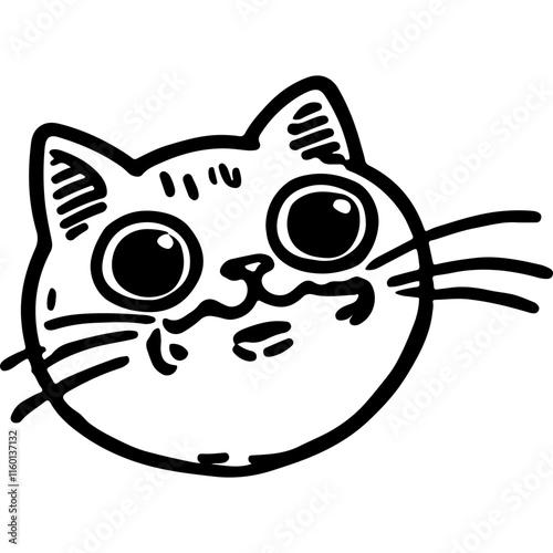 Funny Cat Face