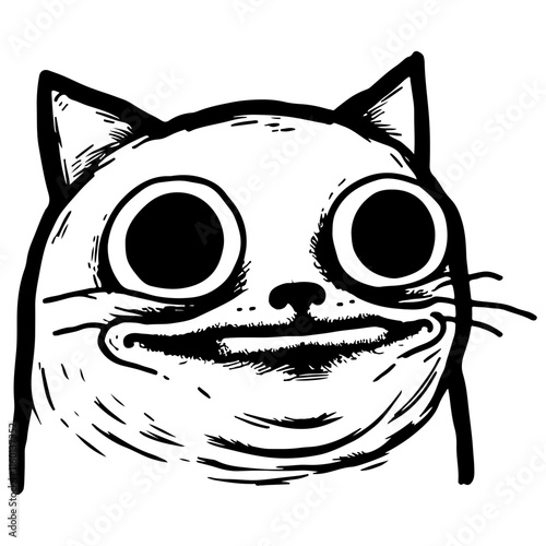 Funny Cat Face