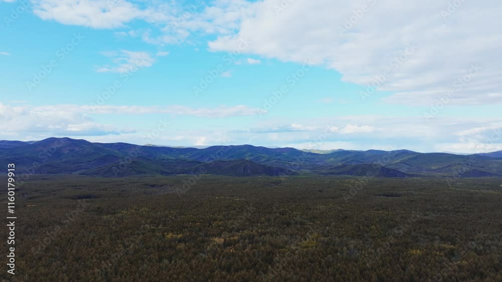 Explore the breathtaking aerial views of Daxinganling fall forest with majestic trees and stunning natural scenery Explore the breathtaking aerial views of Daxinganling fall forest with majestic trees and stunning natural scenery