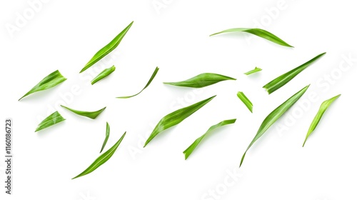Falling Lemon grass isolated on a white background
