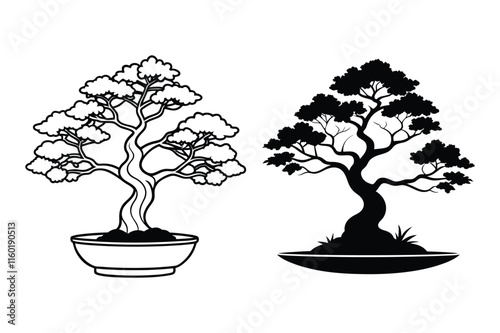 bonsai tree in a pot