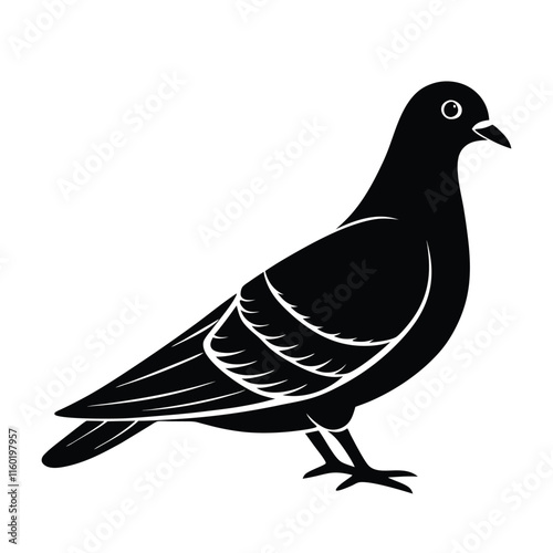 Silhouette pigeon vector illustration, very simple and single pigeon silhouette white background