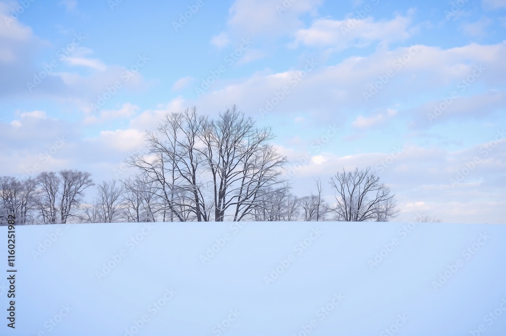 Serene Winter Landscape with Bare Trees against a Soft Blue Sky Serene Winter Landscape with Bare Trees against a Soft Blue Sky