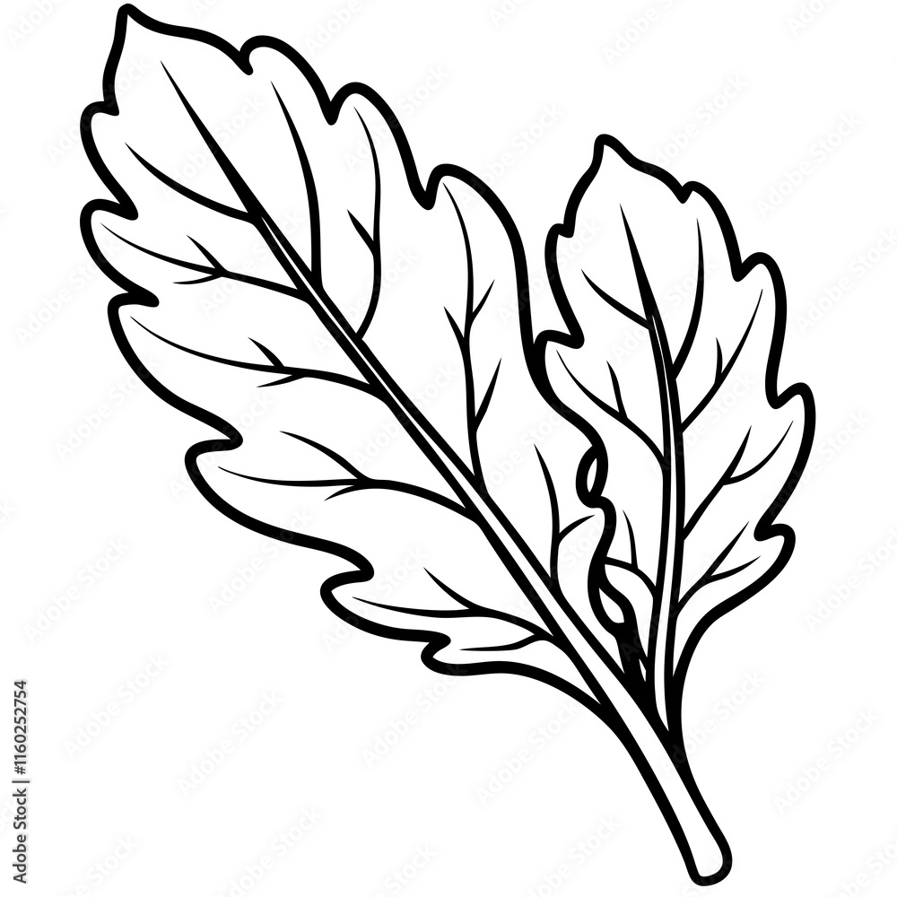 Black and White Outline of Two Leaves Black and White Outline of Two Leaves