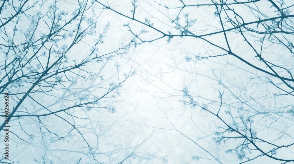 Fototapeta premium Springtime tranquility with delicate blooming branches in serene blue hues ideal for eco-friendly designs and nature-themed projects.