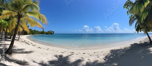 Fototapeta Naklejka Na Ścianę i Meble -  Serene Caribbean beach with palm trees soft white sand and tranquil blue sea under a clear sky perfect for summer vacation and relaxation.