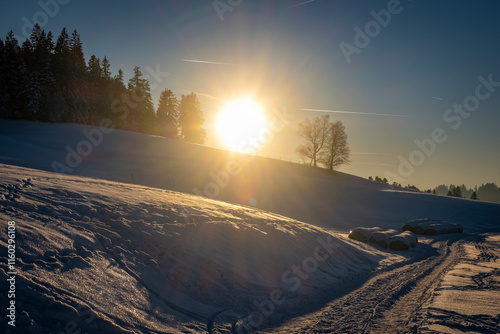 wonderful winterwonderland at a small village Moeggers in Vorarlberg in Austria photo