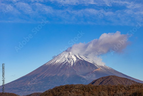 愛鷹山より富士