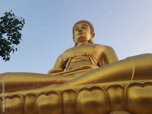 Photography golden buddha statue