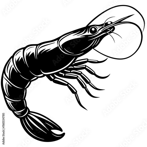 Black and White Shrimp Illustration - Seafood Creature