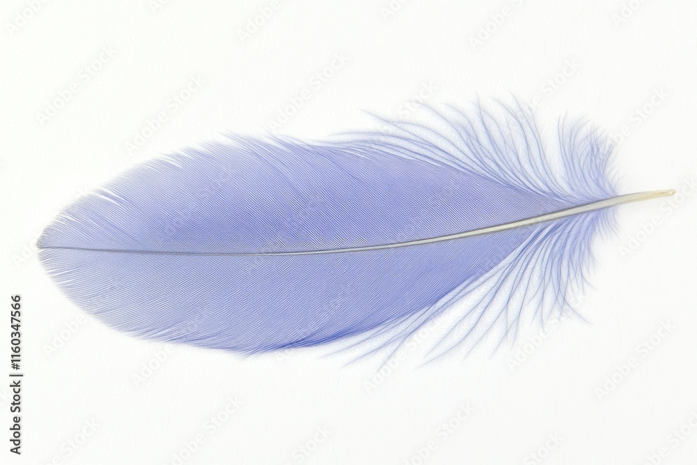 Fototapeta premium A single, delicate light blue feather isolated on a white background.